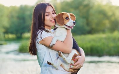 Köpeğinizi İşe Getirmek Herkes için Harika Olabilir